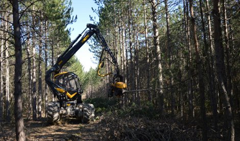 Es Andalucía - Sevilla