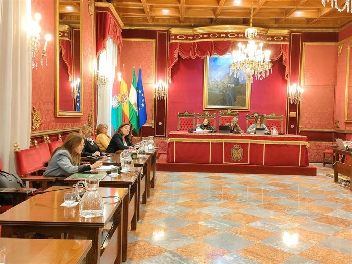 Comisión extraordinaria de Protección Ciudadana sobre la gestión de multas por la Policía Local de Granada