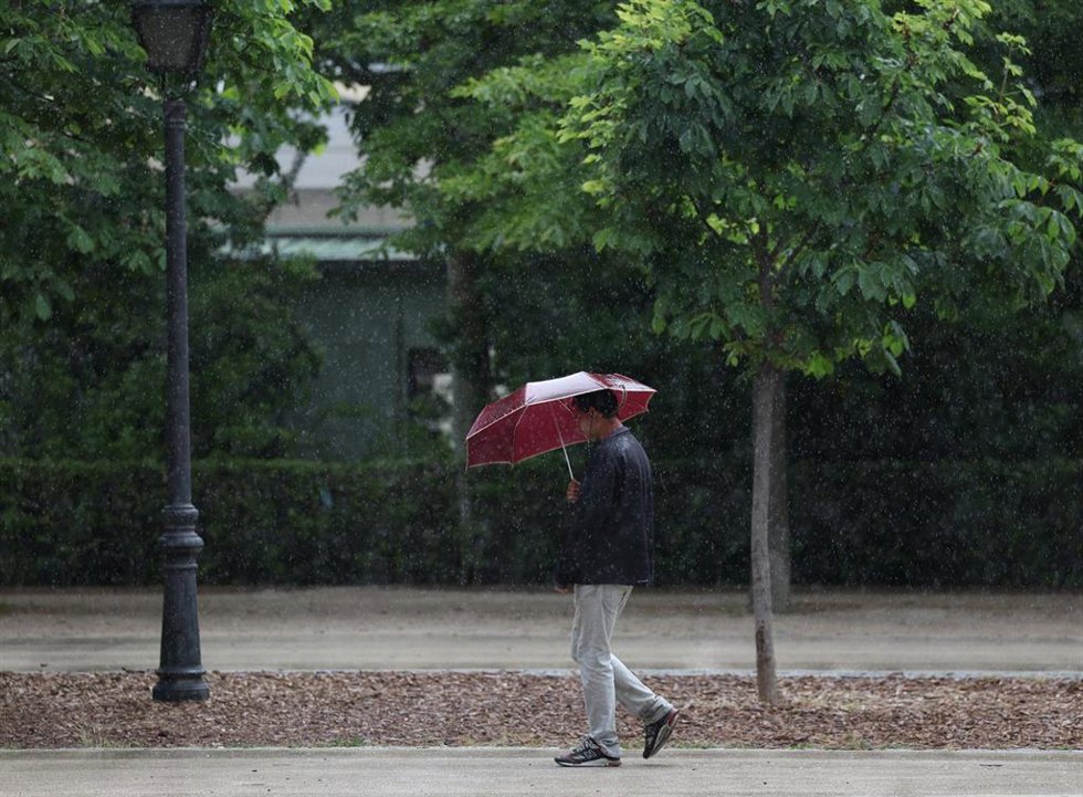 Archivo - Un hombre pasea por el parque de El Retiro, a 23 de mayo de 2023, en Madrid (España).