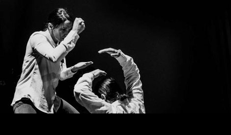 notibrasil sociedade