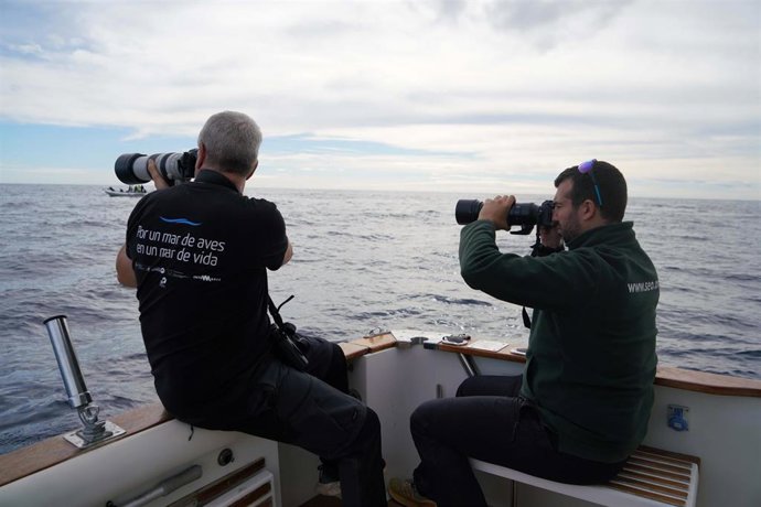 Técnicos del programa marino de SEO/BirdLife tratando de fotografiar una ave marcada con anilla de lectura a distancia.
