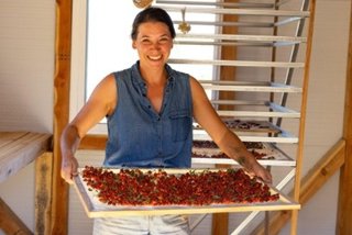 COPADE concluye el proyecto Del Bosque a tu Casa con resultados visibles en nueve territorios rurales, impulsando empleo, innovación y sostenibilidad