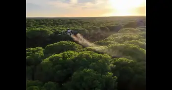 La Junta de Andalucía realiza por primera vez tratamientos aéreos con drones contra la procesionaria del pino