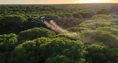 Es Andalucía - Sevilla