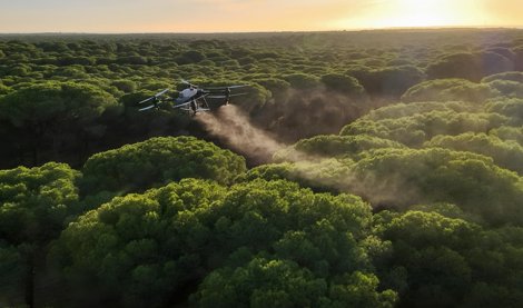 Es Andalucía - Sevilla