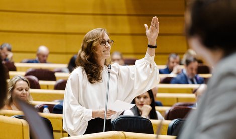 notibrasil política