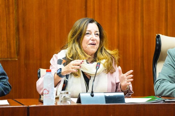 La consejera de Desarrollo Educativo y Formación Profesional, María del Carmen Castillo, en la comisión parlamentaria del 11 de diciembre de 2025.