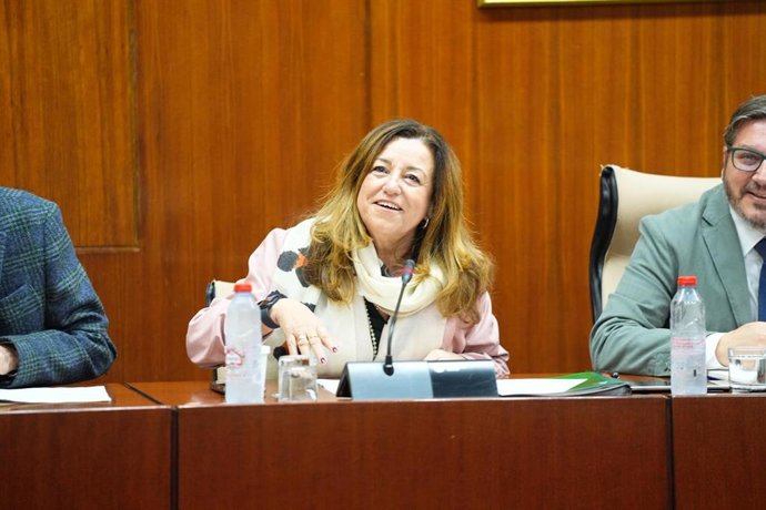 La consejera de Desarrollo Educativo y Formación Profesional, María del Carmen Castillo, en la comisión parlamentaria del 11 de diciembre de 2025.