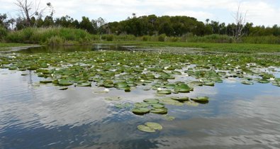 Es Andalucía - Huelva
