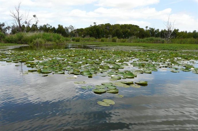 Laguna de las Madres en Palos de la Frontera (Huelva).
