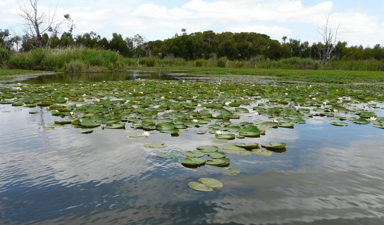 Es Andalucía - Huelva