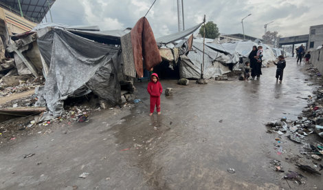 notibrasil política