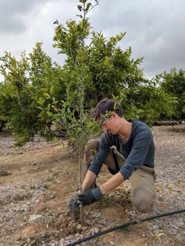 Joven agricultor