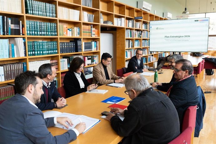 Reunión del patronato de la Fundación Rei Afonso Henriques.