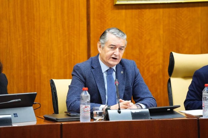 El consejero de Sanidad, Presidencia y Emergencias de la Junta de Andalucía, Antonio Sanz, en la comisión parlamentaria del 11 de diciembre de 2025.