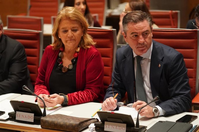 El senador del PP por Baleares Miquel Jerez