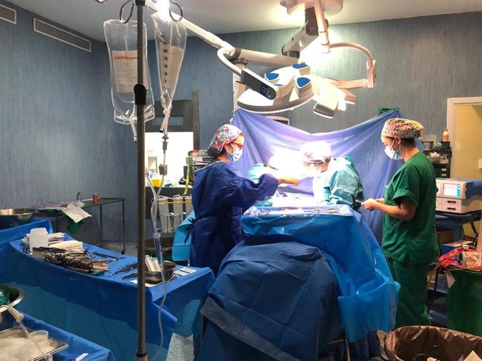 Donación de órganos