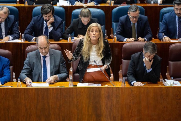 La consejera de Economía, Hacienda y Empleo de la Comunidad de Madrid, Rocío Albert, interviene durante una sesión plenaria en la Asamblea de Madrid, a 11 de diciembre de 2025, en Madrid (España)
