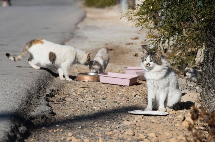 Tres gastos, en la calle.