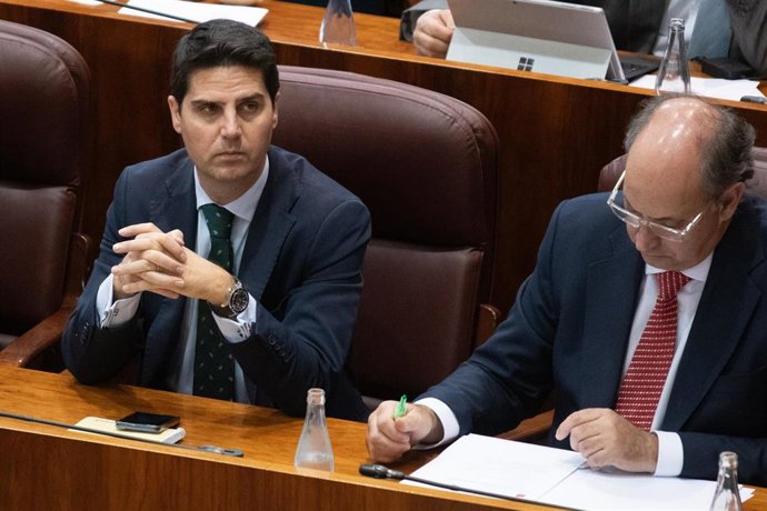 El consejero de Educación y Universidades, Emilio Viciana (i), durante el pleno de la Asamblea de Madrid.
