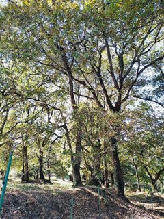 Medio Ambiente