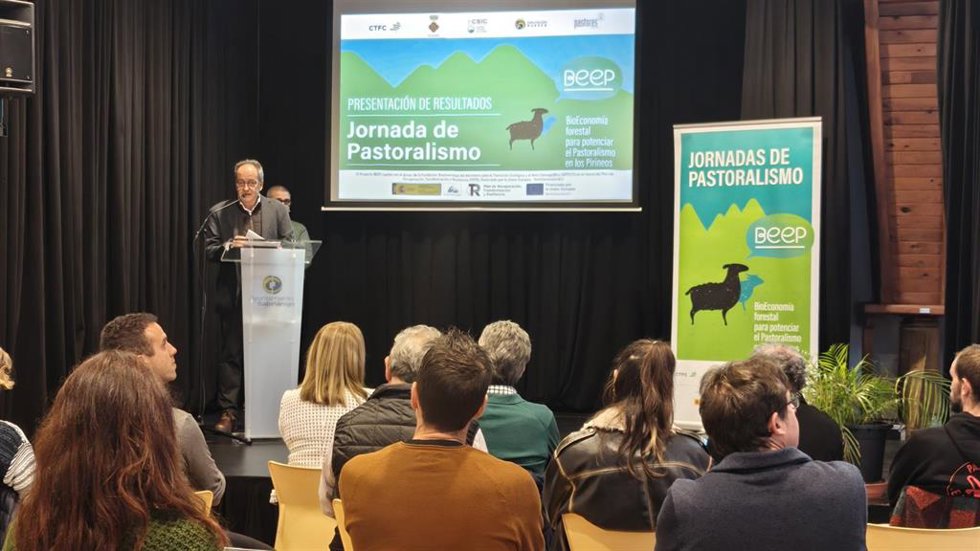 El diputado de Desarrollo de  la DPH, José Cebollero.