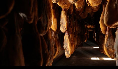 EpAgro - Agricultura