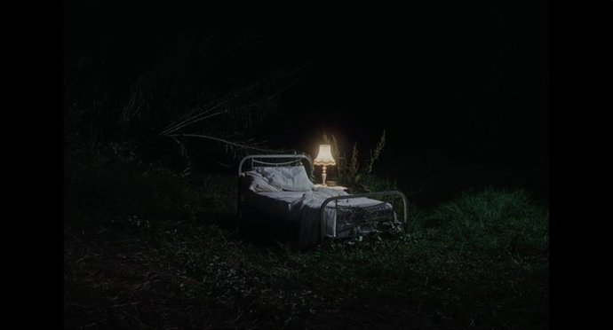 El IVC presenta el I volumen del catálogo 'Curts Comunitat Valenciana 2026'