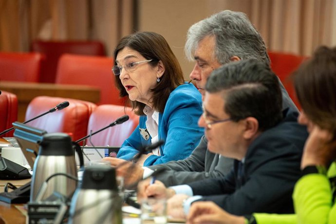 Archivo - La presidenta de la Comisión Nacional de los Mercados y la Competencia (CNMC), Cani Fernández, comparece, en la Comisión de Economía, Comercio y Transformación Digital, en el Congreso de los Diputados, a 13 de mayo de 2025, en Madrid (España). 