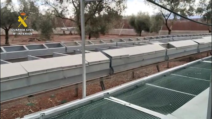 Instalaciones de la explotación ilegal de perdiz roja desmantelada en la operación Meriñaque