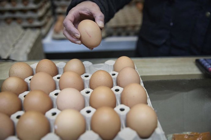 Huevos, a 20 de noviembre de 2025, Madrid (España). El precio de los huevos en España se ha disparado un 22,5% interanual en octubre según los datos confirmados por el INE, y su precio se incrementó un 5,1% en valores mensuales, acumulando un repunte del 