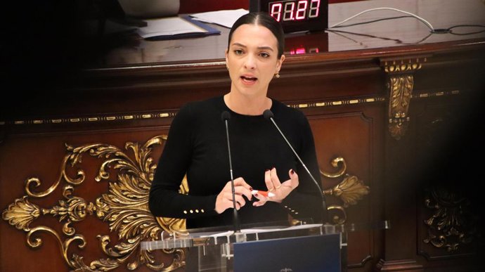 Archivo - Arxiu - L'edil del PSPV-PSOE en l'Ajuntament de València Nuria Llopis durant un ple celebrat en el consistori.