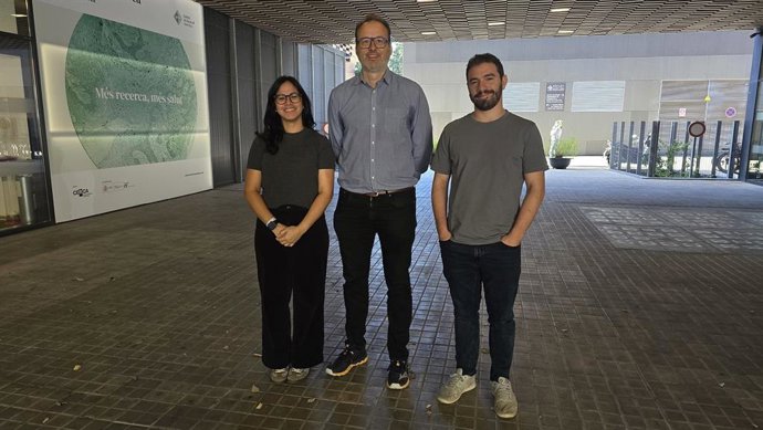 Un estudio del IR Sant Pau identifica cómo las sinapsis del hipocampo ajustan proteínas para especializar su función