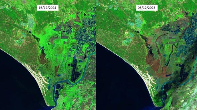 Comparativa entre diciembre de 2024 y diciembre de 2025.