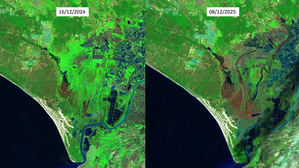 Comparativa entre diciembre de 2024 y diciembre de 2025.