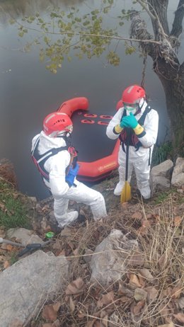 Bomberos trabajando en la orilla del Río Manzanares, en la zona de Perales del Río