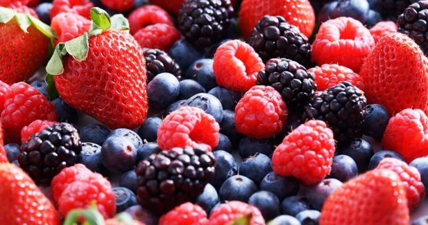 EpAgro - Agricultura