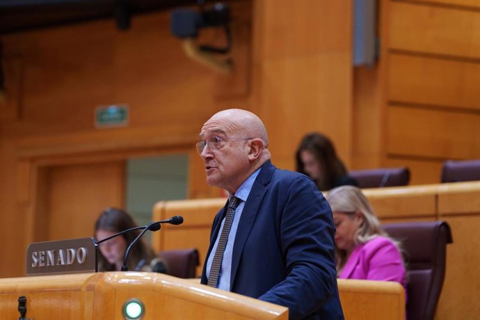 Archivo - El senador del PP por Valladolid Jesús Julio Carnero interviene durante una sesión plenaria, en el Senado.