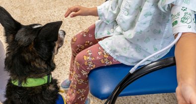 Es Andalucía - Jaén