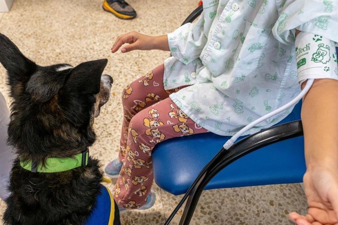 Uno de los perros de la terapia canina junto a una paciente.