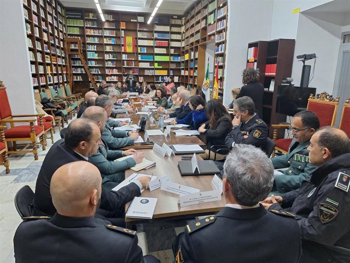 Reunión semestral de la Comisión Territorial de Violencia sobre la Mujer que se ha celebrado este viernes en el TSJEx, en Cáceres