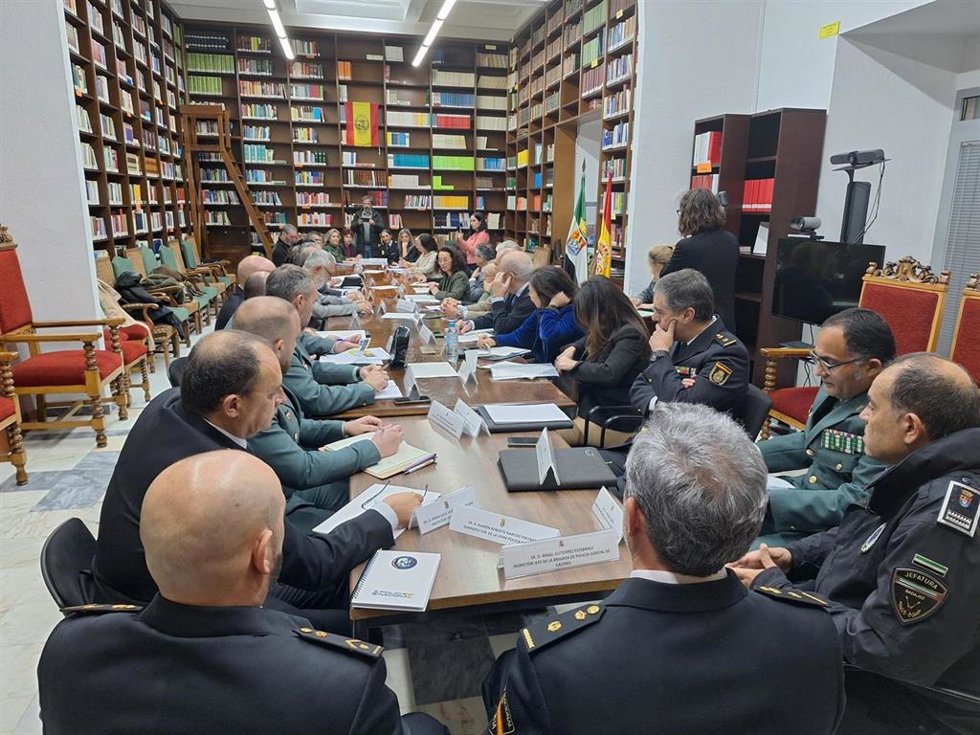 Reunión semestral de la Comisión Territorial de Violencia sobre la Mujer que se ha celebrado este viernes en el TSJEx, en Cáceres