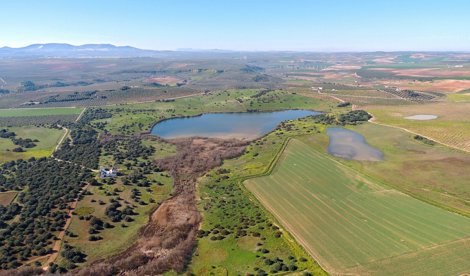 Es Andalucía - Córdoba