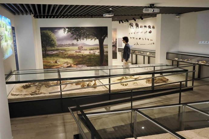 Una de las salas del museo