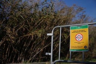 Vallas para cortar el paso de los agents rurals de los Mossos d'Esquadra en las zonas restringidas por la cuarentena ante la peste porcina africana, a 5 de diciembre de 2025, en Barberà del Vallès, Barcelona, Cataluña (España).