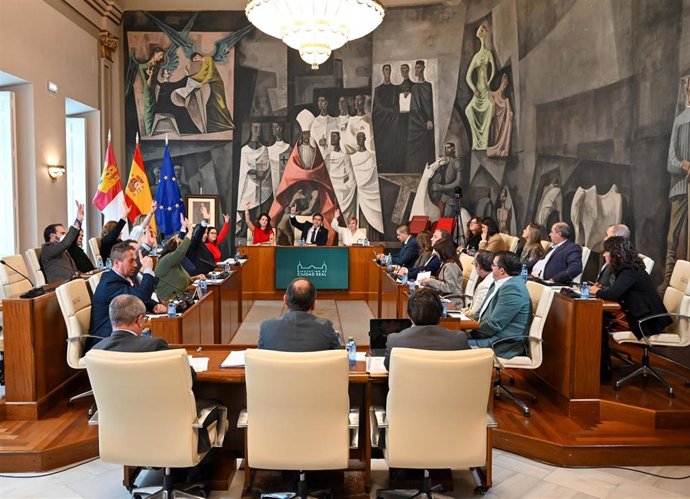 Pleno en la Diputación de Ciudad Real.