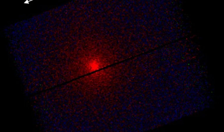 notibrasil sociedade