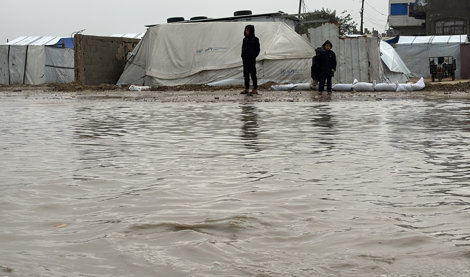 notibrasil sociedade