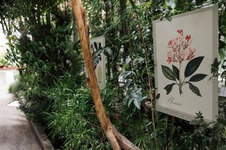 Uno de los dibujos de la exposición que se muestran en el invernadero del Jardín Botánico