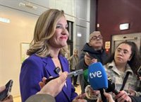 Alegría (PSOE) cree que adelantar las elecciones es "una decisión irresponsable" de Azcón